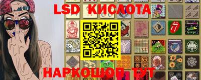 гашик Моздок