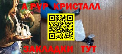гашик Моздок