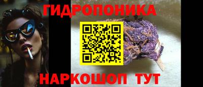 гашик Моздок