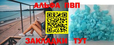 гашик Моздок