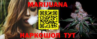 гашик Моздок
