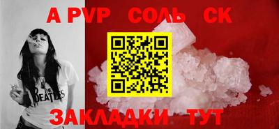 гашик Моздок