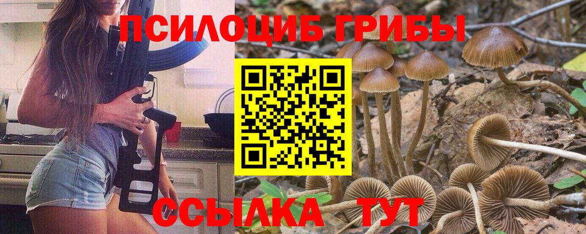 Буйнакск  Галлюциногенные грибы Psilocybe  Вход с VPN 