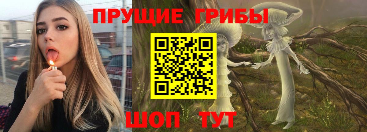 Галлюциногенные грибы прущие грибы Буйнакск